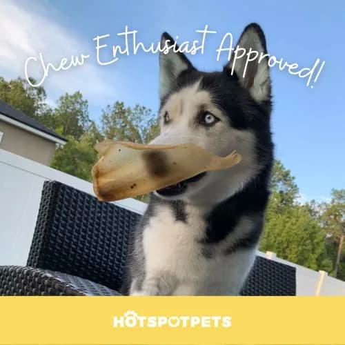 hotspot pets All-Natural Beef Cow Ears Dog Chews (10 Pack) Long-Lasting, Low Odor, Single Ingredient Treat for Healthy Teeth & Gums thumbnail 7