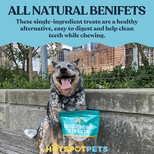 hotspot pets All-Natural Cow Ears Dog Chews (20 Pack) | Long-Lasting, Digestible, Healthy Teeth & Gums thumbnail 8