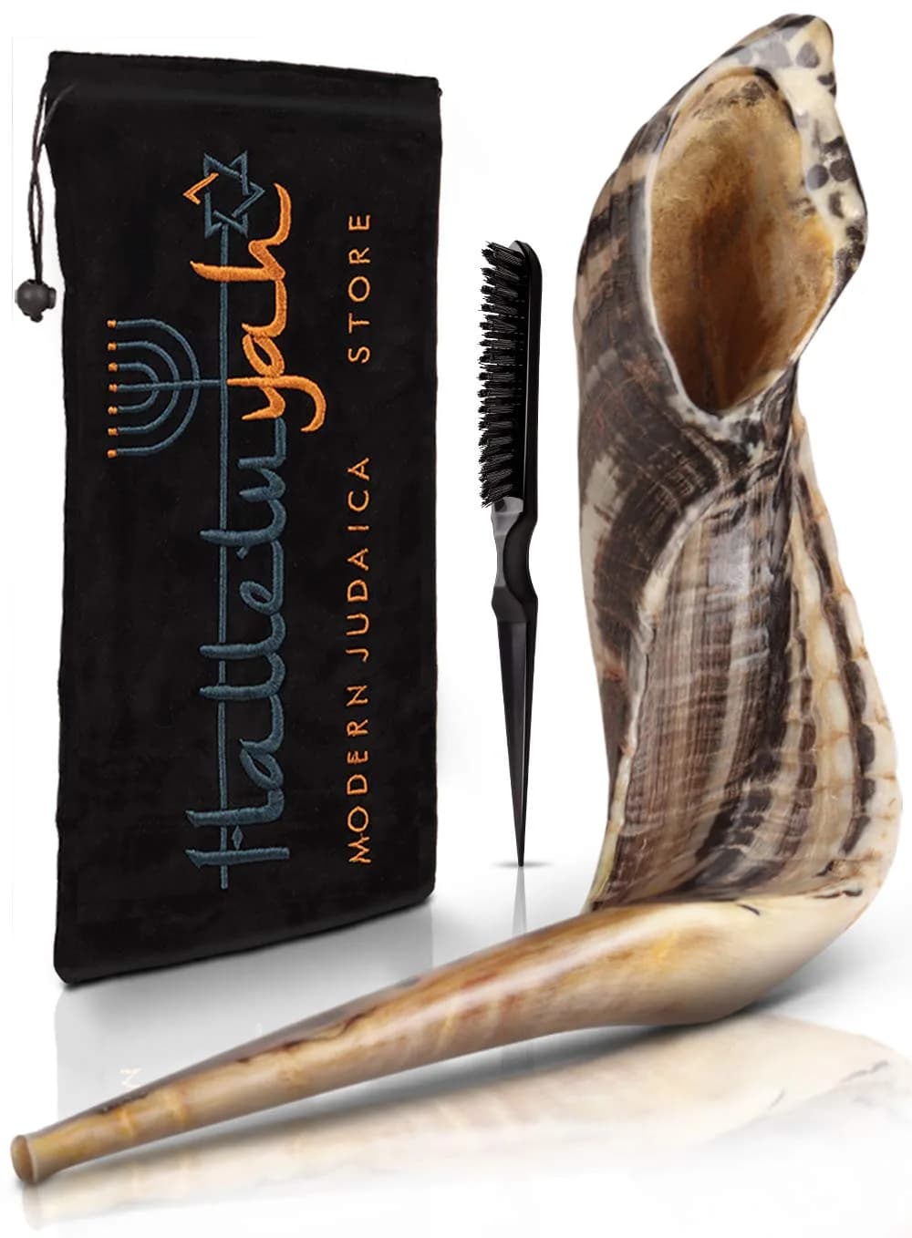 HalleluYAH Ram Horn Shofar 30-35 cm (12"-14") | Authentic Kosher Musical Instrument from Israel