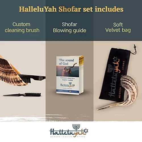 HalleluYAH 16"-18" Ram Horn Shofar (440 g) | Authentic Kosher Sounding Instrument thumbnail 3