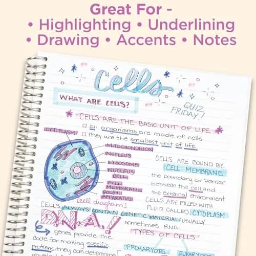 Zebra Pen Mildliner Assorted Colors Dual Tip Highlighter Set | 25-Pack, 1mm-4mm thumbnail 5