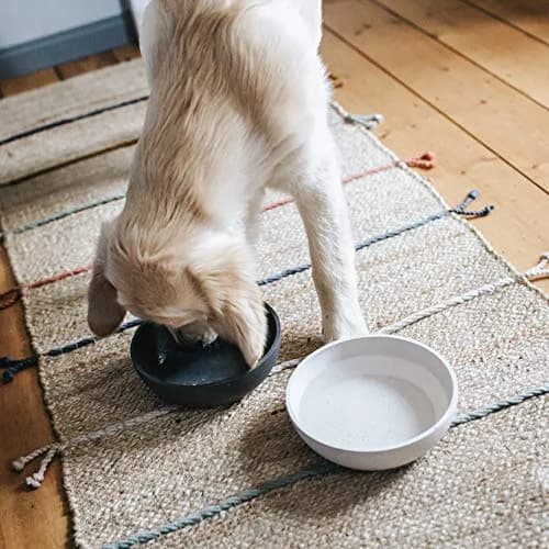 District 70 Bamboo Dog Bowl Medium Merengue 1000ml (33.8 Fl Oz) | Non-Slip Base for Dogs thumbnail 6