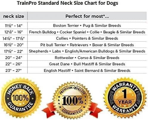 TrainPro Waterproof TPU Replacement Strap for Dog Training Collar, 70 cm (27.5 in) Blue Reflect | Durable & Secure Fit thumbnail 8
