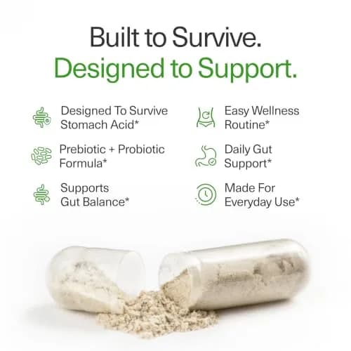 BIOptimizers Probiotic Breakthrough 30 Capsules | Gut & Digestive Support for Adults thumbnail 2