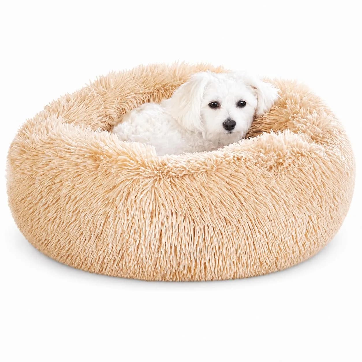 Whiskers & Friends Calming Donut Cat Bed 58cm (23") | Orthopedic Plush Pet Bed for Cats & Small Dogs