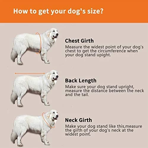 SNIK-S Dog Life Jacket for Swimming Safety with Reflective Stripes, Large Yellow, 13.8" Body Length (35 cm), 19.7-29.5" Chest Girth (50-75 cm) thumbnail 6