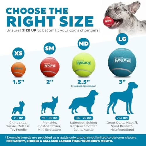 Outward Hound Squeaker Ballz Tennis Ball Dog Toy Small 2" 8-Pack | Durable Rubber Fetch & Squeak Toy for Small Dogs thumbnail 3