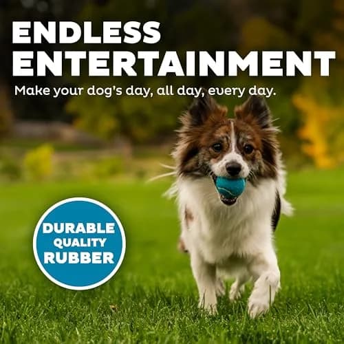 Outward Hound Squeaker Ballz Tennis Ball Dog Toy Small 2" 8-Pack | Durable Rubber Fetch & Squeak Toy for Small Dogs thumbnail 4