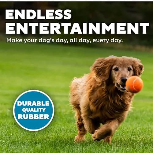 Outward Hound Squeaker Ballz Tennis Ball Dog Toy, Large 3" (7.6 cm) 4-Pack | Durable Fetch & Training Toy thumbnail 4
