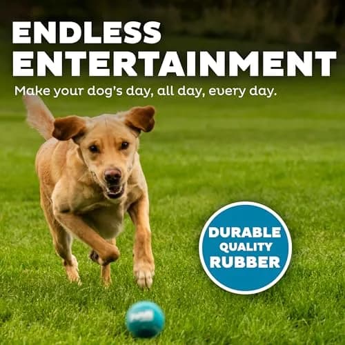 Outward Hound Squeaker Ballz Tennis Ball Dog Toy, Medium 2.5" (6-Pack) | Bright, Bouncy, Squeaky Fetch Toy thumbnail 5
