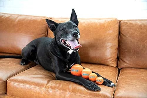 Outward Hound Squeaker Ballz Tennis Ball Dog Toy, Medium 2.5" (6-Pack) | Bright, Bouncy, Squeaky Fetch Toy thumbnail 2