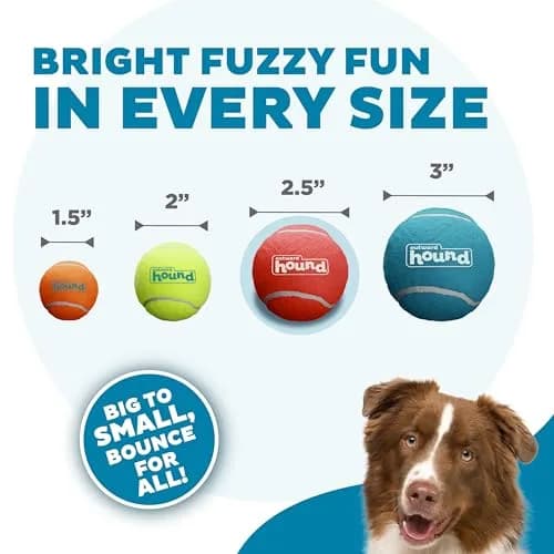 Outward Hound Squeaker Ballz Tennis Ball Dog Toy, Medium 2.5" (6-Pack) | Bright, Bouncy, Squeaky Fetch Toy thumbnail 4