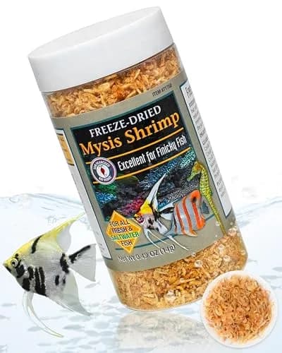 San Francisco Bay Brand Freeze-Dried Mysis Shrimp 0.49 oz | Premium Fish Food for Freshwater & Saltwater Fish thumbnail 1
