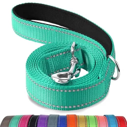 Joytale Reflective Dog Leash 6 ft x 1" Turquoise | Heavy Duty Nylon Webbing, Padded Handle, Visible at Night, for Medium & Large Dogs thumbnail 1
