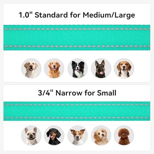 Joytale Reflective Dog Leash 6 ft x 1" Turquoise | Heavy Duty Nylon Webbing, Padded Handle, Visible at Night, for Medium & Large Dogs thumbnail 6