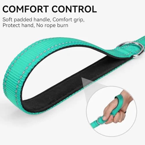 Joytale Reflective Dog Leash 6 ft x 1" Turquoise | Heavy Duty Nylon Webbing, Padded Handle, Visible at Night, for Medium & Large Dogs thumbnail 3