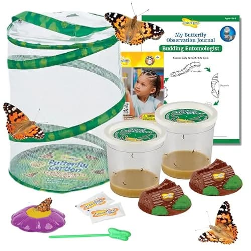 Insect Lore Butterfly Garden with 10 Live Baby Caterpillars & STEM Journal | 29.1 cm (12 inch) Habitat thumbnail 1