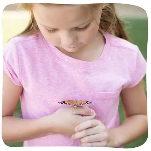 Insect Lore Butterfly Garden with 10 Live Baby Caterpillars & STEM Journal | 29.1 cm (12 inch) Habitat thumbnail 5