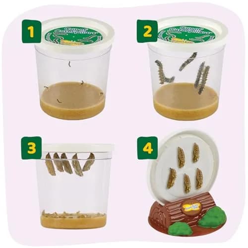 Insect Lore Butterfly Garden with 10 Live Baby Caterpillars & STEM Journal | 29.1 cm (12 inch) Habitat thumbnail 3