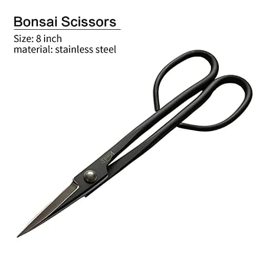 VOUIU 5-Piece Bonsai Tool Set Stainless Steel 210mm | Precision Garden Tools for Bonsai Care thumbnail 6