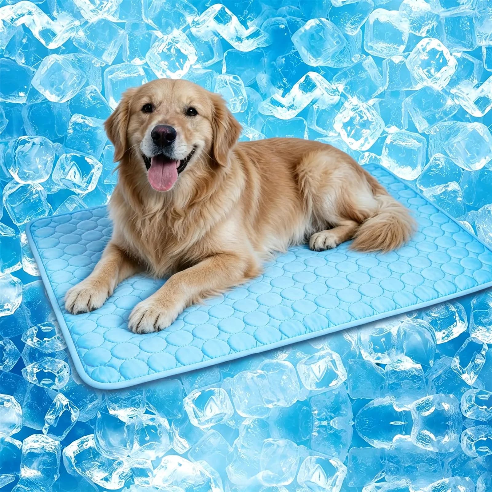 dgdgbaby Portable Dog Cooling Mat 40 x 28 in | Self-Cooling, Washable, Summer Relief — Blue / 40 x 28 in