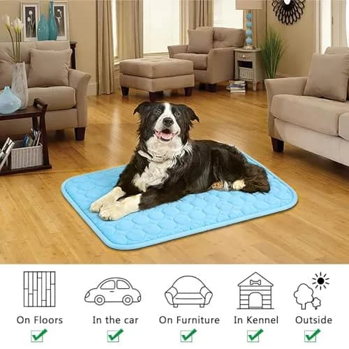 dgdgbaby Portable Dog Cooling Mat 40 in | Instant Summer Relief for Large Pets thumbnail 8