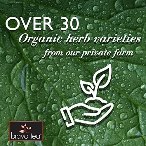 Bravo Tea Menopause Comfort Herbal Tea 20 Tea Bags | Caffeine Free, Organic, Traditional Herbal Blend thumbnail 4