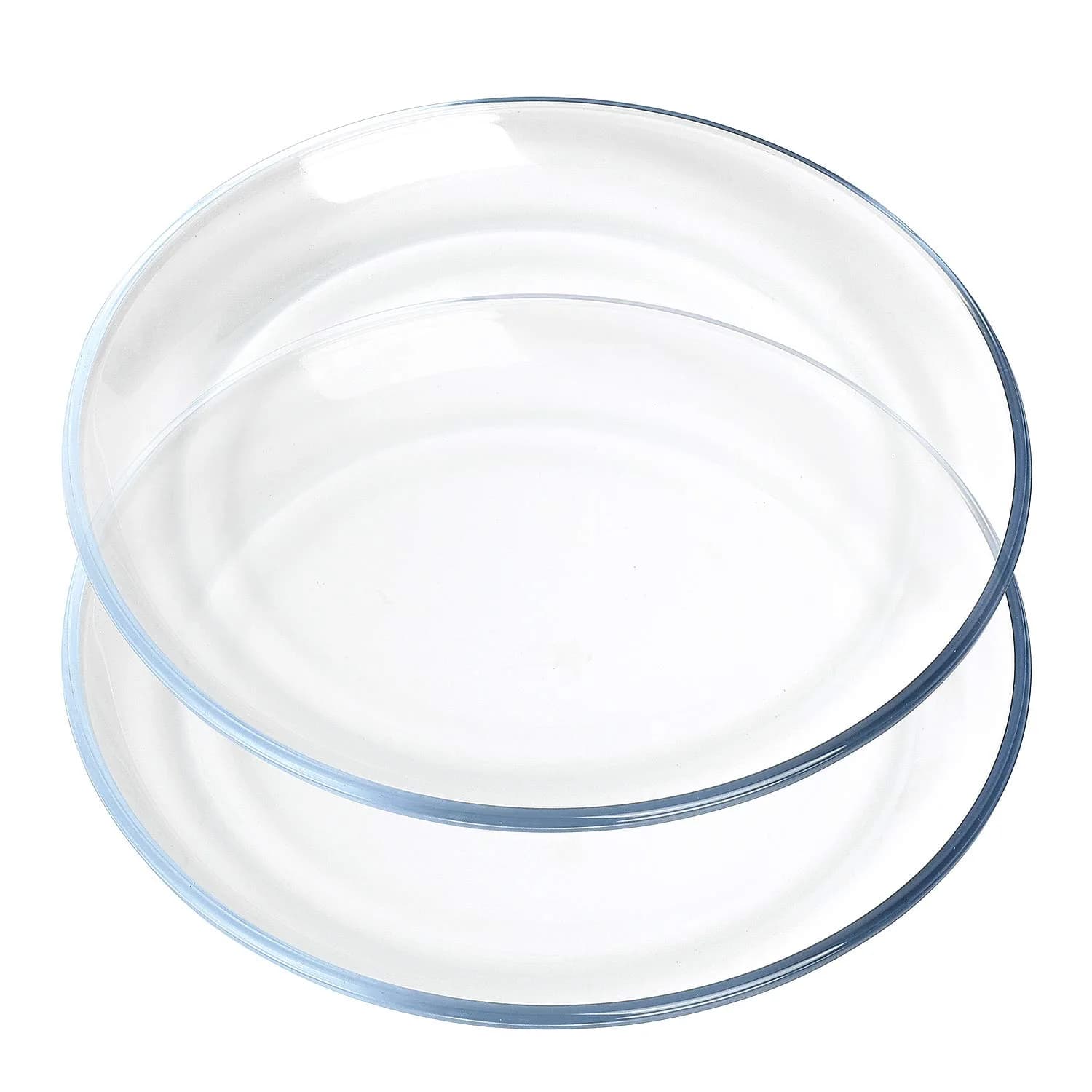 FOYO Glass Plate Set, 10 inch Round Tempered Dinner Plates, Set of 2 | Microwave & Dishwasher Safe - main product image