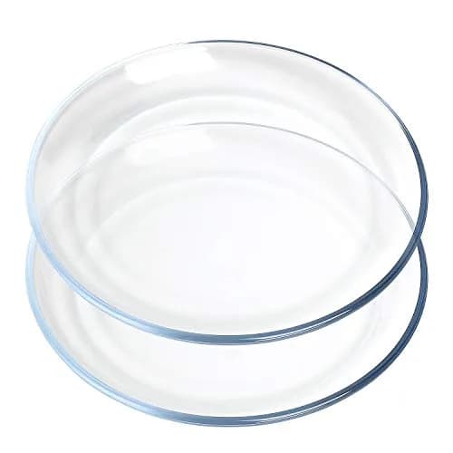 FOYO Glass Plate Set, 10 inch Round Tempered Dinner Plates, Set of 2 | Microwave & Dishwasher Safe thumbnail 1