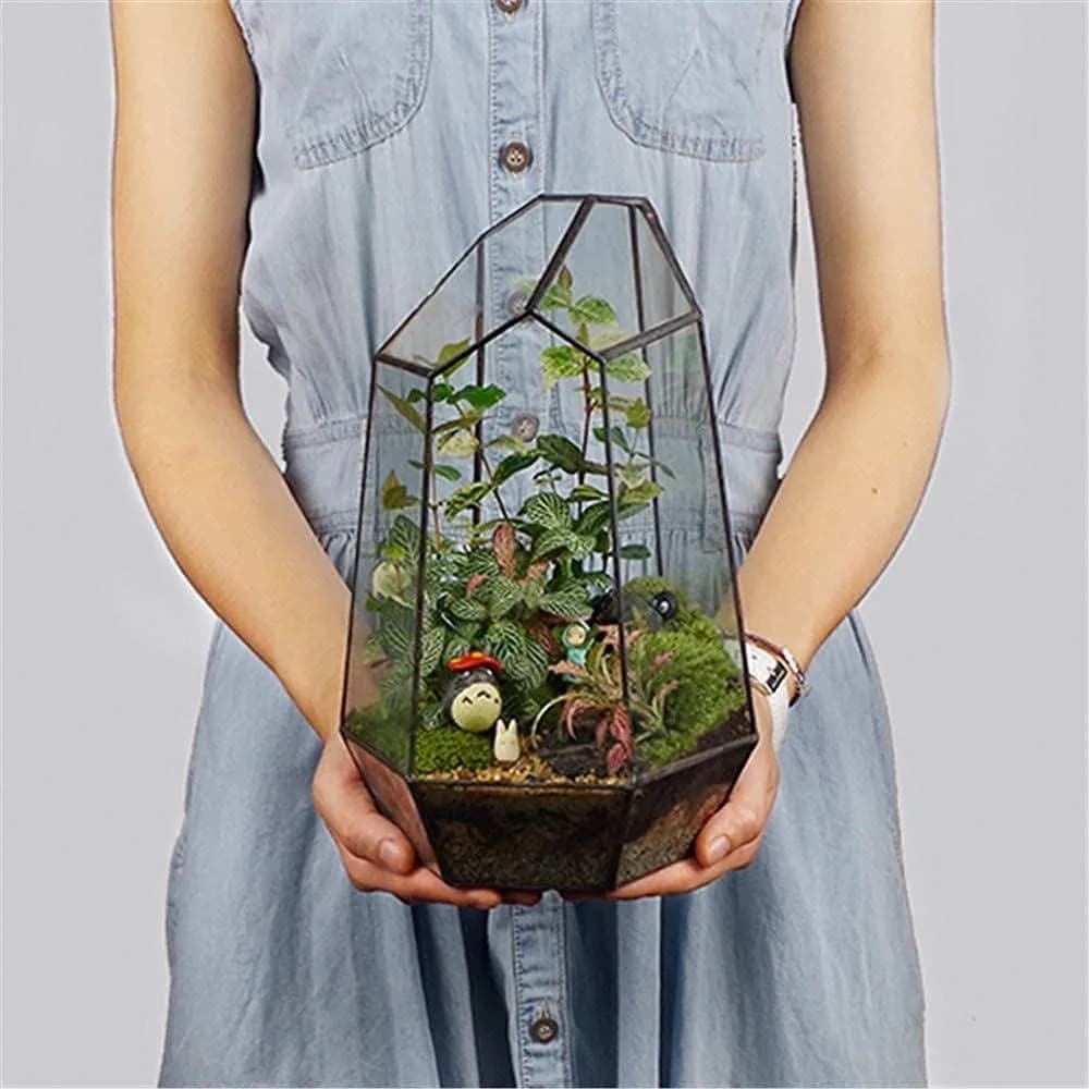 libproqia Geometric Glass Terrarium Planter 16.5cm (6.5" L x 5.7" W x 9.8" H) | Open-Front Design for Succulents & Air Plants - main product image