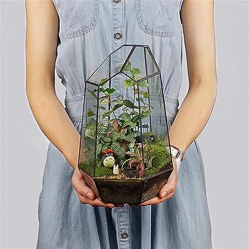 libproqia Geometric Glass Terrarium Planter 16.5cm (6.5" L x 5.7" W x 9.8" H) | Open-Front Design for Succulents & Air Plants thumbnail 1