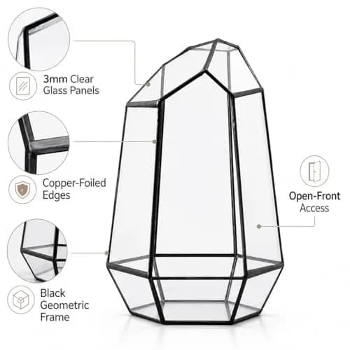libproqia Geometric Glass Terrarium Planter 16.5cm (6.5" L x 5.7" W x 9.8" H) | Open-Front Design for Succulents & Air Plants thumbnail 5