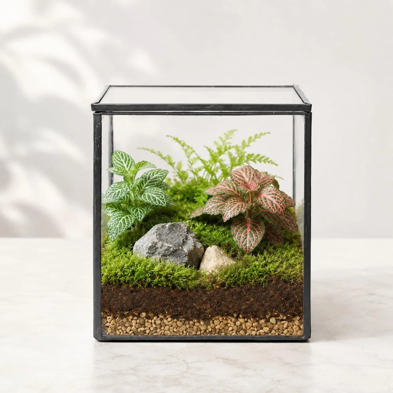 libproqia Small Square Glass Terrarium with Lid 10.9cm (4.3 Inch) | Mini Fairy Garden Display Case