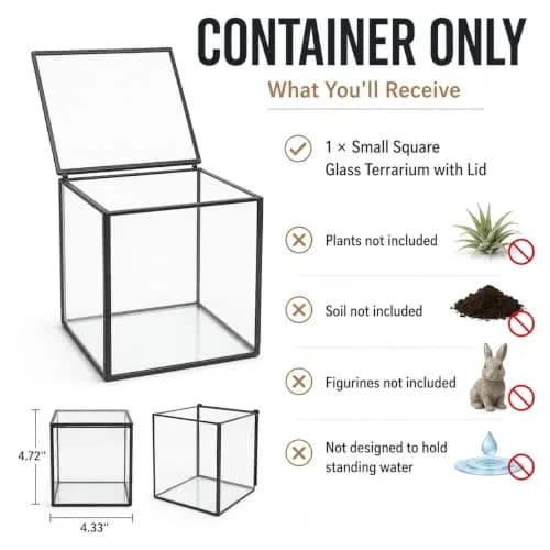 libproqia Small Square Glass Terrarium with Lid 10.9cm (4.3 Inch) | Mini Fairy Garden Display Case thumbnail 4