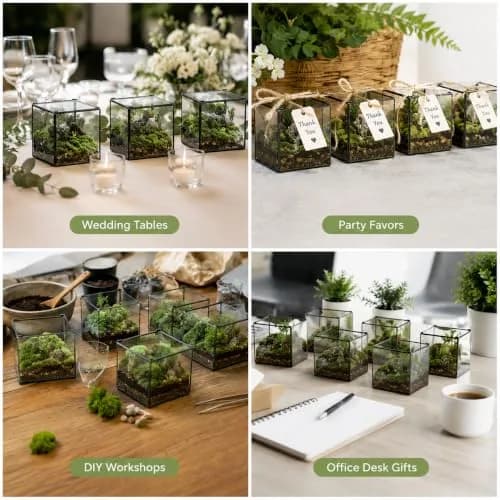 libproqia Small Square Glass Terrarium with Lid 10.9cm (4.3 Inch) | Mini Fairy Garden Display Case thumbnail 6