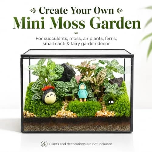 libproqia Clear Geometric Glass Terrarium with Lid 16.89cm (6.7" L x 3.9" W x 4.7" H) | Decorative Mini Plant Display thumbnail 3
