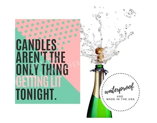Harper & Ivy Designs 21st Birthday Wine Bottle Labels (6-Pack) | Chic Bday Gifts for Women thumbnail 7
