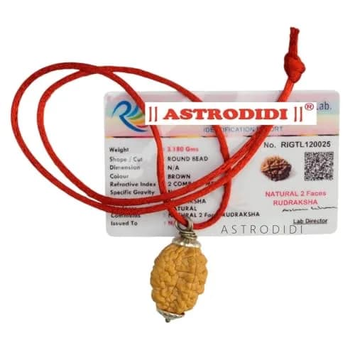 ASTRODIDI Rudraksha 2 Mukhi Pendant (Brown) | Spiritual & Prosperity Charm for Women thumbnail 1