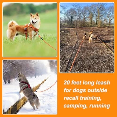 Vivifying Floating Long Dog Leash 6.1m (20ft) Orange | Durable Training Leash for Recall & Swimming thumbnail 6