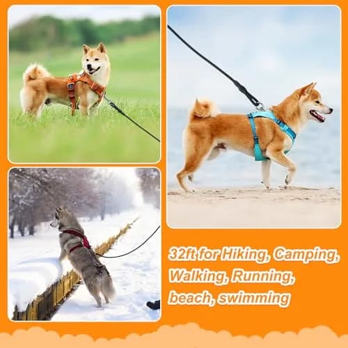 Vivifying Black Floating Dog Long Line 10m (32ft) | Recall Training Rope with Padded Handle thumbnail 5