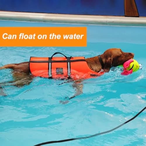 Vivifying 6m (20ft) Floating Dog Check Cord Leash | Durable Polypropylene Rope with Padded Handle & 360° Swivel Clasp thumbnail 2