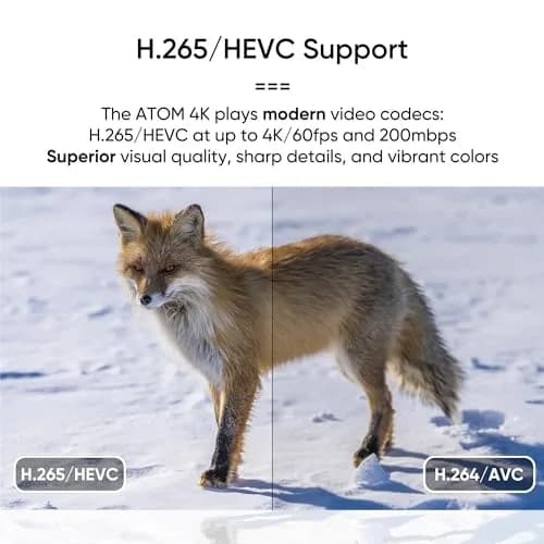 NEUMITECH Atom 4K Digital Media Player for USB Drives and SD Cards | HDMI 4K/60fps, Automatic Playback thumbnail 4
