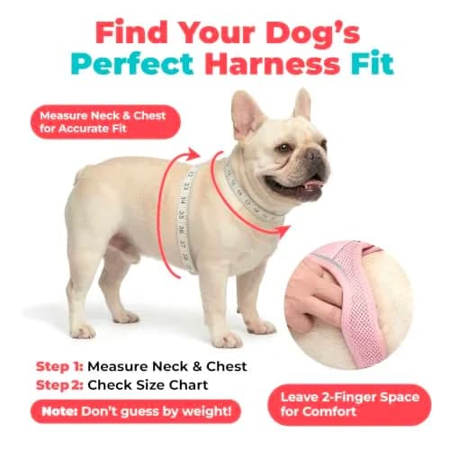 Best Pet Supplies Voyager Step-in Air Dog Vest Harness - Red/Black, XX-Small | Breathable Mesh, Reflective Bands thumbnail 6