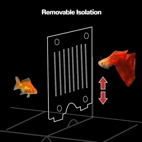 J-star Large Fish Breeder Box for Aquarium Tank | Acrylic Fish Hatchery & Isolation Tank thumbnail 5