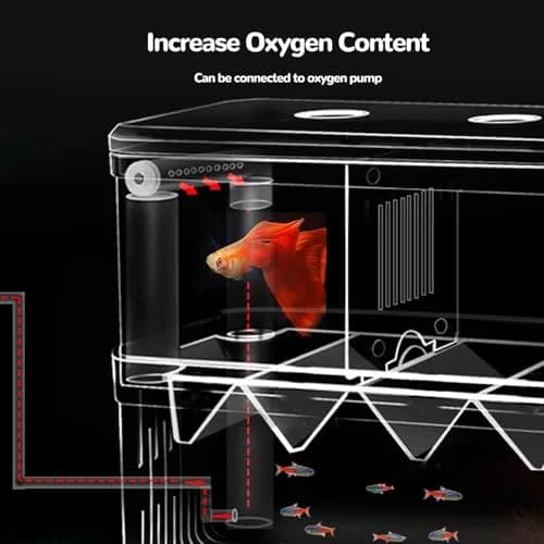 J-star Large Fish Breeder Box for Aquarium Tank | Acrylic Fish Hatchery & Isolation Tank thumbnail 6