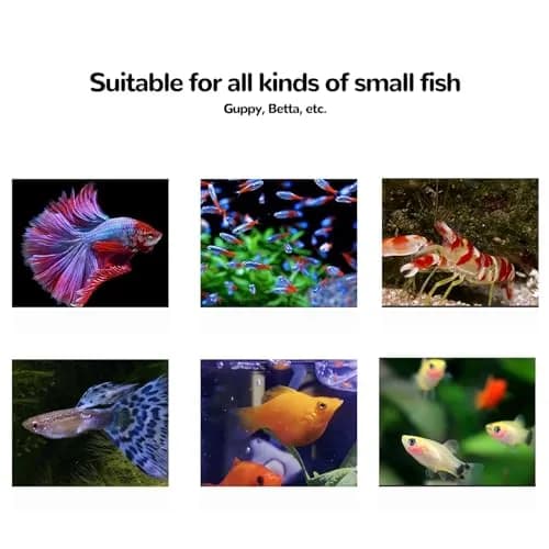 J-star Large Fish Breeder Box for Aquarium Tank | Acrylic Fish Hatchery & Isolation Tank thumbnail 7