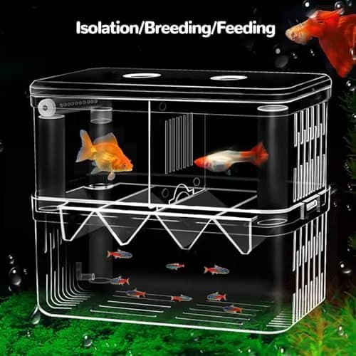 J-star Large Fish Breeder Box for Aquarium Tank | Acrylic Fish Hatchery & Isolation Tank thumbnail 2