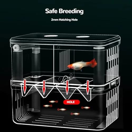 J-star Large Fish Breeder Box for Aquarium Tank | Acrylic Fish Hatchery & Isolation Tank thumbnail 3