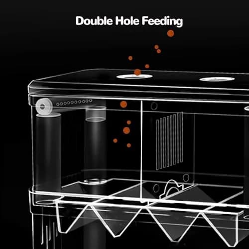 J-star Large Fish Breeder Box for Aquarium Tank | Acrylic Fish Hatchery & Isolation Tank thumbnail 4