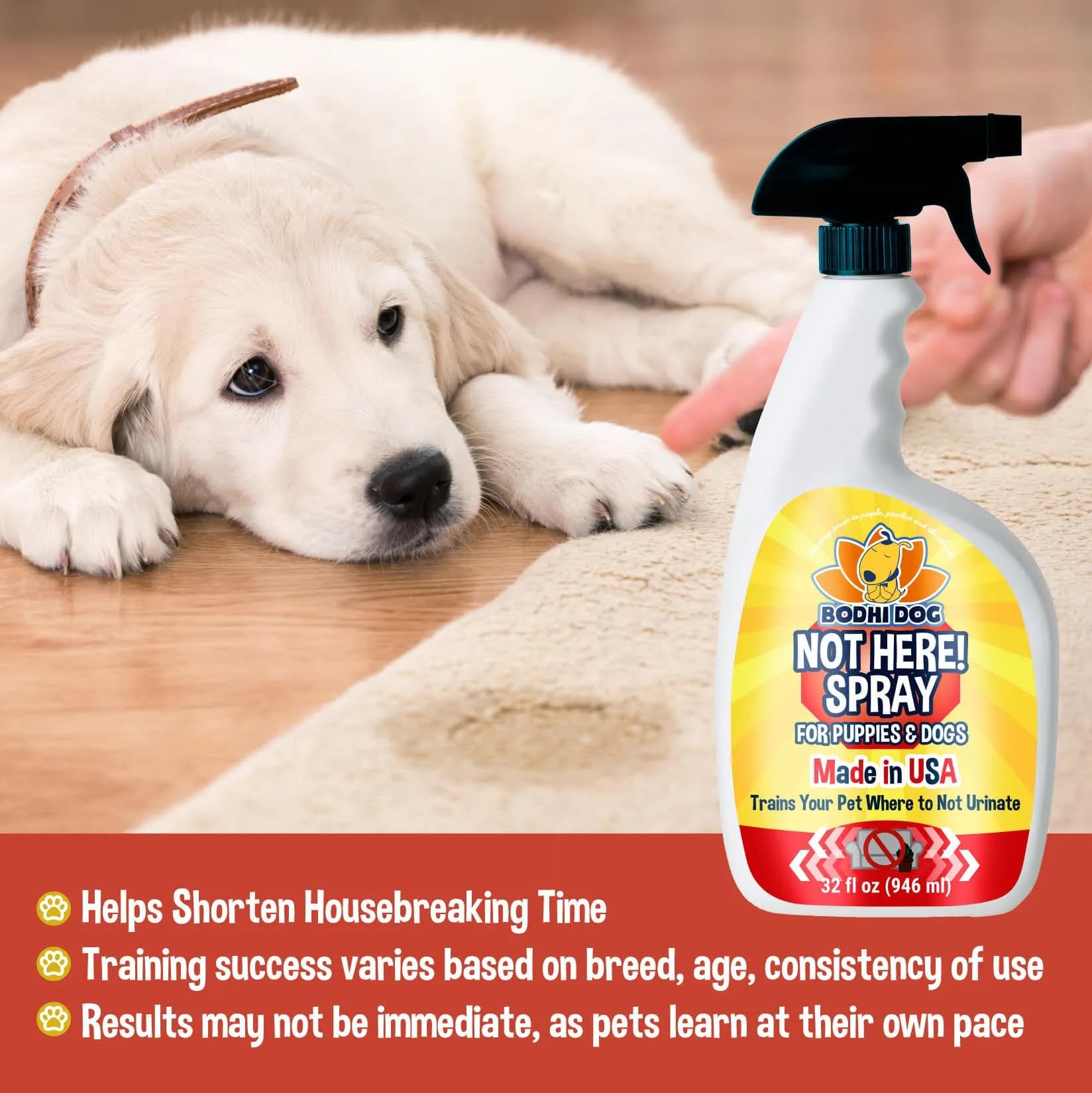 Bodhi Dog Not Here! Spray - Trains Your Pet Where Not to Pee Indoors or Outdoors - Anti Marking Deterrent for Furniture, Carpet & Floor - Training Corrector for Puppies & Dogs - Made in USA (32 Fl Oz) thumbnail 2